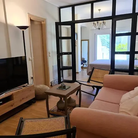 公寓 Aelia Luxury With Private Entrance 凯法米洛斯